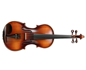 Full shot of a violin, warm brown tones