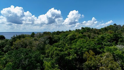 Amazon Rainforest In Manaus Amazonas Brazil. Amazon Rainforest Showing River Winding Dense Jungle. Forest Environment Amazon Green. Wilderness Rainy Season. Manaus Amazonas.