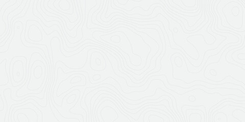 "Abstract white topographic map background with fine contour lines. Minimal and clean design perfect for presentations, websites, modern layouts, and geographic or scientific visuals"