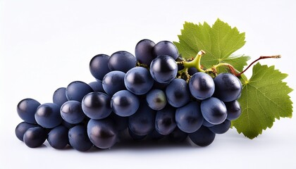 Fototapeta premium black grapes isolated on white background