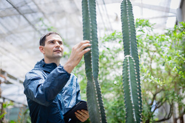 Young scientist in farm greenhouse is part of agricultural research team studying cactus plants...