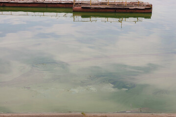 blooming water in the Volga River, taken on a July day