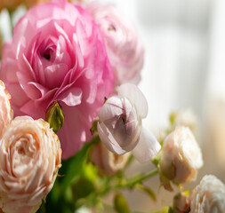 Close-up of peach and pink ranunculus blooms glowing in soft daylight, ideal for romantic wedding...