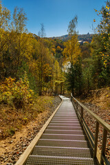 Metal boardwalk pathway winding through colorful autumn forest with golden foliage and distant hills