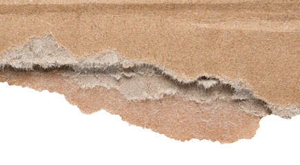 Isolated torn piece of brown corrugated cardboard paper with texture and copy space for text, transparent png background design element