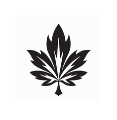 Cannabis Leaf silhouette logo design vector on white background