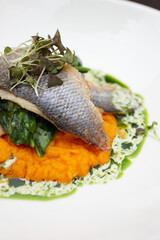 fried fish with vegetables