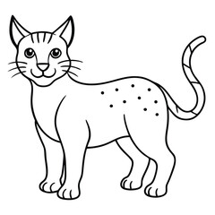 Obraz premium Cartoon lynx isolated on white background in black and white style