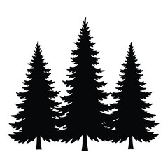 Three tall evergreen fir trees in silhouette against a white background