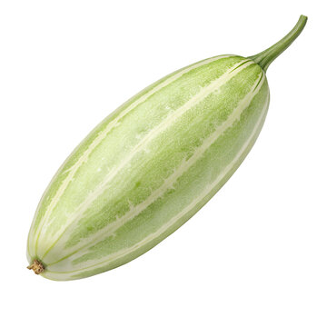 Fresh Pointed Gourd (Potol) on white background