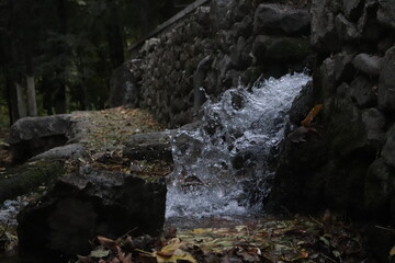 waterfall in the forest