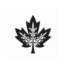 Cannabis Leaf silhouette logo design vector on white background