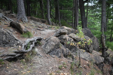 Sentier La Rouche 4 Ao&ucirc;t 2025