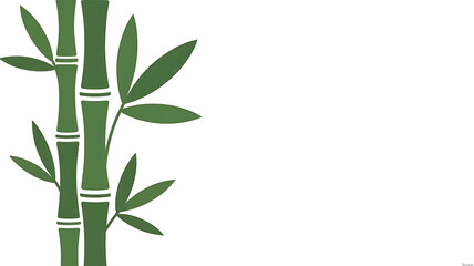 Obraz premium Green bamboo stalks and leaves against white. 