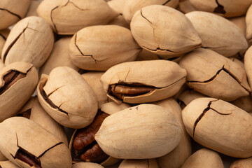 Pecan-nut in a shell isolated on white background. Top view.