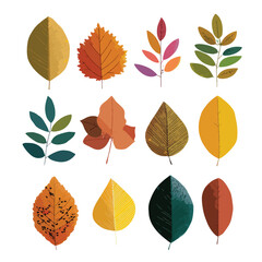 Fototapeta premium fall leave isolated in White Background, fall leave vector, Flat lay vector illustration