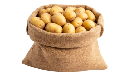 sack of potatoes in a woven bag isolated on transparent background