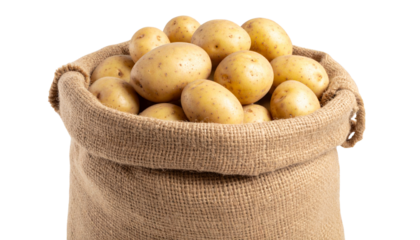 sack of potatoes in a woven bag isolated on transparent background