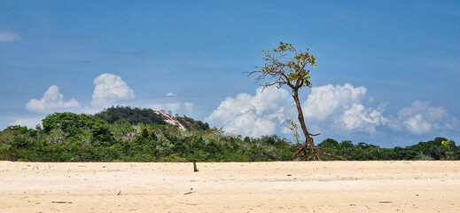 The Island of Love, Ilha do Amor in Alter do Chao, state of Para, Brazil. Also known as the Amazon...