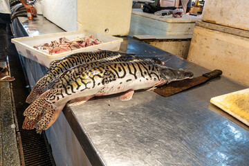 Feira Manaus Moderna in Manaus, Brazil. Popular fish market selling piranha, pirarucu and other...