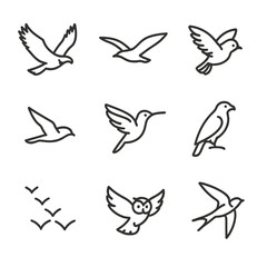 Bird Flight Icon Set. Outline icon set of bird flight silhouettes: soaring eagle, gliding seagull, flapping sparrow, diving falcon