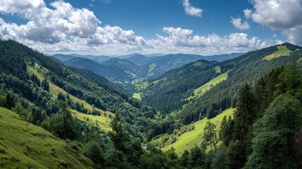 Fototapeta premium Lush green valley stretching into distance beneath blue sky dotted with puffy white clouds
