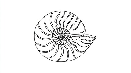 Obraz premium Simple line drawing of a nautilus shell. Detailed spiral pattern