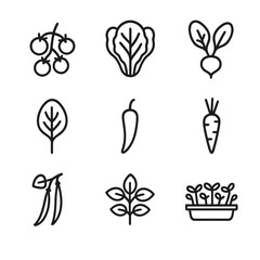 Compact Vegetable Icons. Outline icon set of compact vegetable varieties: cherry tomato cluster, leaf lettuce head, radish bulb,