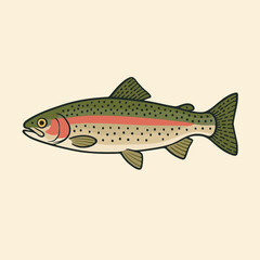 Rainbow trout realistic illustration. Vintage hand-drawn fish vector for logo or print.