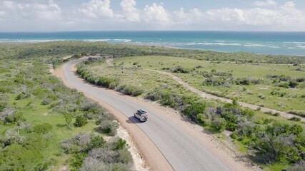 4x4 Car Over Asphalt Road Near Vegetated Coastline. Aerial Drone Shot