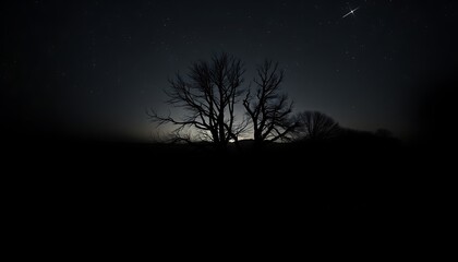 Bare tree under a starry sky