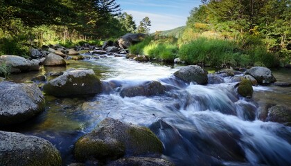Fototapeta premium clear stream flowing over rocks in a serene natural setting