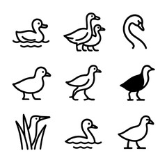 Obraz premium Freshwater Bird Icons. Outline icon set of freshwater and marsh birds: duck on water, goose pair, swan neck curve, coot profile,