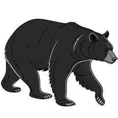 Walking Black Bear Vector on White Background