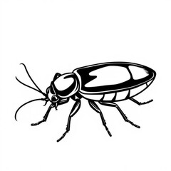 American Cockroach Animal Illustration