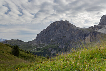 Hiking near Cima Costazza and Baita Segantini - Italy