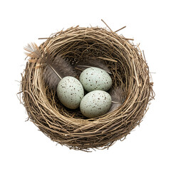 Obraz premium Bird Nest with Eggs on white Background – Symbol of New Life, Nature, and Springtime, PNG file 