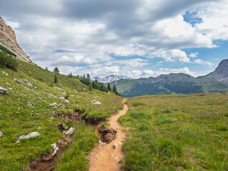 Hiking near Cima Costazza and Baita Segantini - Italy