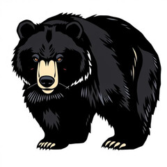 Asiatic Black Bear Illustration