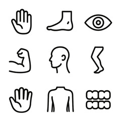 Fototapeta premium Giant Anatomy Icons. Outline icon set of giant anatomy: giant hand, giant foot, giant eye, giant head, giant arm, giant leg, giant