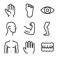 Obraz premium Giant Anatomy Icons. Outline icon set of giant anatomy: giant hand, giant foot, giant eye, giant head, giant arm, giant leg, giant