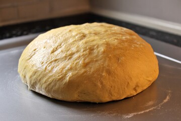 Fototapeta premium Raw dough rising on a baking sheet in the kitchen