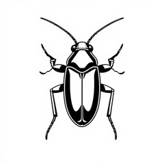 Australian Cockroach Animal illustration