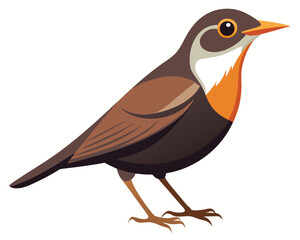 vector illustration of a bird