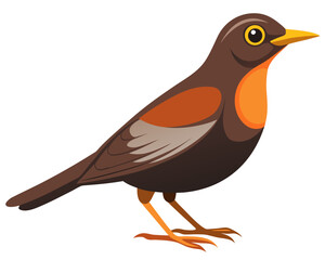 vector illustration of a cartoon bird