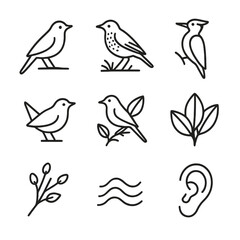 Fototapeta premium Forest Songbird Iconography. Outline icon set of forest songbirds: nightingale outline, thrush perched, woodpecker profile, wren