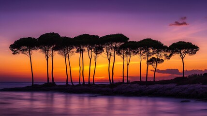 Pine trees silhouetted against a purple sunset over the sea