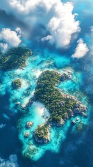 Fototapeta premium Aerial View of a Tropical Island Paradise