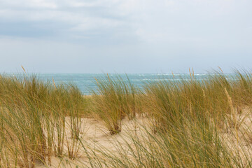 View through dune grass at the Atlantic Ocean from Pointe du Cap Ferret