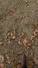 Village Life of people in Kashmir Autumn Landscape with Houses